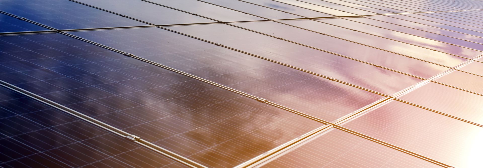 Nahaufnahme von Sonnenkollektoren, die das Sonnenlicht reflektieren, mit Reihen von Photovoltaikzellen und einem bunten Himmel im Hintergrund.